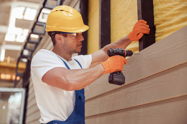 Best Siding Repair  in Buford, GA
